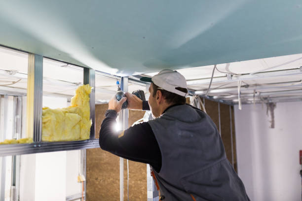 Best Commercial Insulation in Douglass, KS