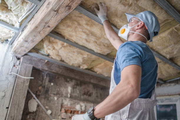 Best Insulation Maintenance and Repair in Douglass, KS